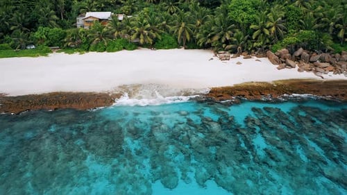 Aerial View of Exotic Tropical Sandy Beach Coral Reef Blue Bay and Palm Trees on Shore at Mahe
