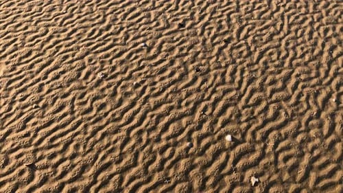 Rippled Sand Texture on Sunny Beach