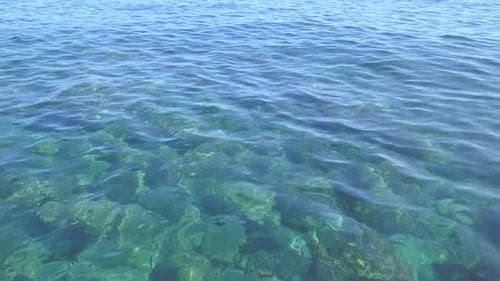Clear Transparent Summer Sea
