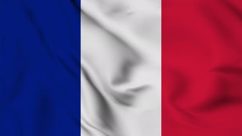 Realistic Waving French National Flag Seamless Loop Animation