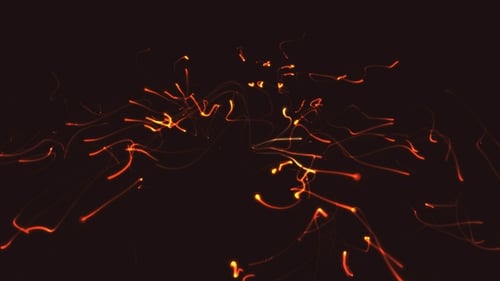 Dynamic Abstract Particle Animation Pack