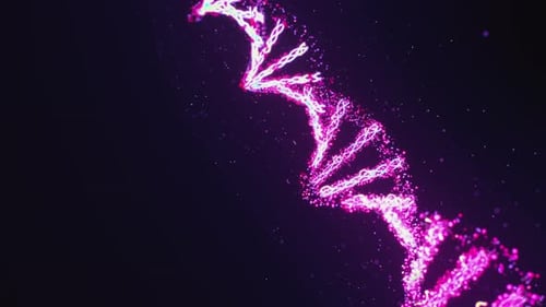 Nahaufnahme der DNA