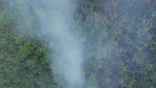 Feu de brousse vu du ciel