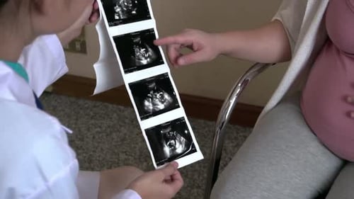 Pregnant Woman and Gynecologist Doctor at Hospital