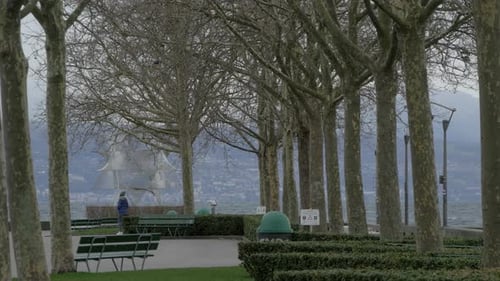 Park with leafless trees