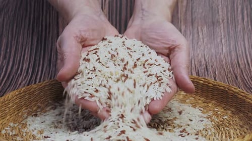 Hands Holding and Pouring Rice into Basket