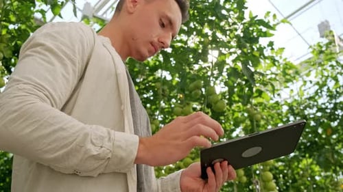 Young Man Using or Playing Tablet in Greenhouse. Green Plant Growing in Warm House.