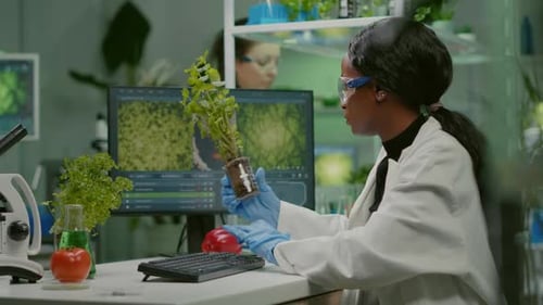 Female Scientist Examining Plant in Modern Laboratory