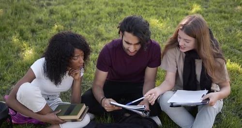 Schüler sitzen mit Büchern auf einer Wiese und lernen