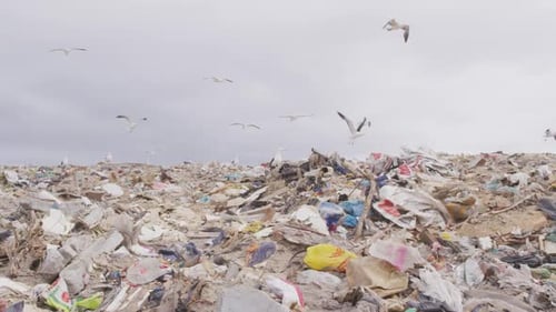 Des déchets empilés sur une décharge pleine de déchets