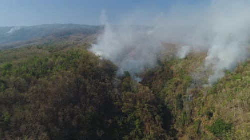 Forest Fire in the Mountains