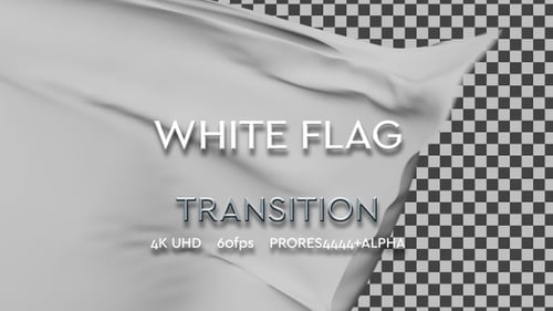 Smooth Fabric Flag Reveal Transition