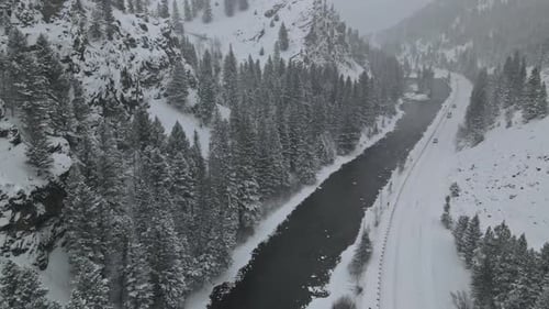 Winter of Snow Covered Tree Branch in Mountains River with Forest During Snowfall