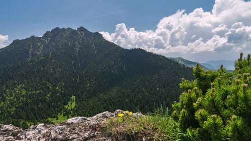 Green Alps Mountains in Sunny Summer Adventure