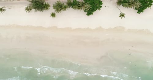 Eau de mer turquoise et vagues sur une magnifique plage tropicale de sable blanc en été