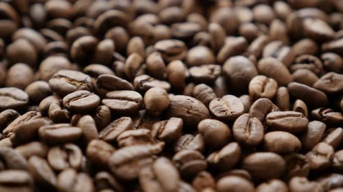 Coffee beans roasted and ready to be grinded slow tilting 4K 2160p UltraHD footage - Background made