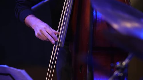 Musician Plays Upright Bass in Dark Urban Venue