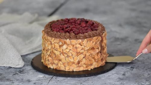 Decadent Black Forest Cake Slice Being Served