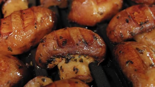 Grilled Mushrooms and Vegetables on a Grill