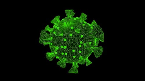 Rotating Digital Wireframe Virus Cell