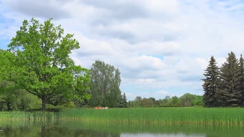 Park & Pond