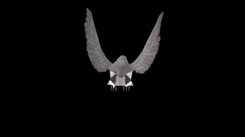 Forest Nuthatch - Flying Bird - Back View - Transparent Loop