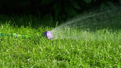 Manual Garden Sprayer