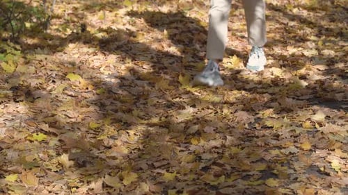Close up view of female feet walking on a fallen autumn leaves.