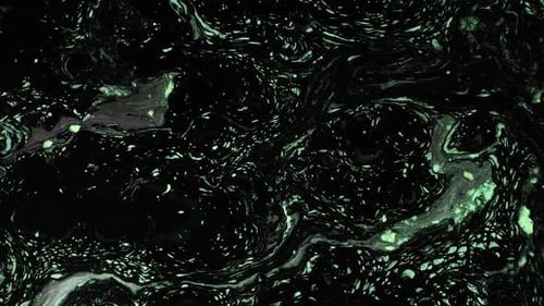 Liquid Paint Texture