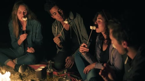 Friends Roasting Marshmallows Around a Campfire at Night