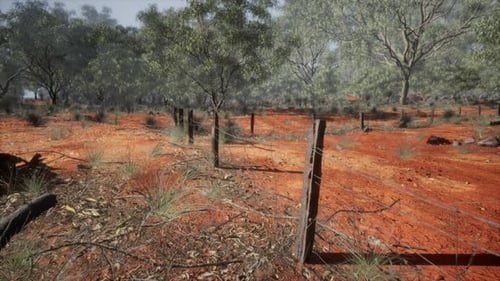 Rural Farm Boundary Fencing in Poor Condition and Long Dead Dry Grass
