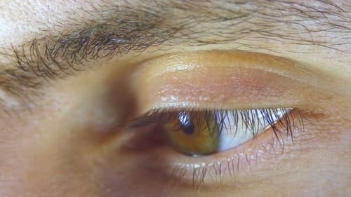 Macro Close-up Male Human Eye Blinking. Slow Motion