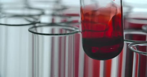 Blood in the Test Tube