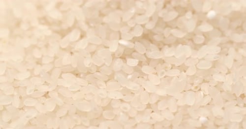Close Up Panning View of White Rice
