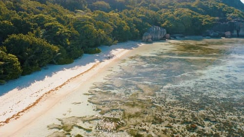 Anse Source D'argent Aerial View Flight Above Tropical Beach on La Digue Island Seychelles
