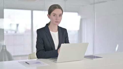 Professional Woman Working at Laptop in Modern Office