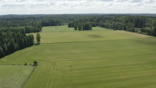 Green meadows and fields surrounded by forest. Scandinavian nature. Pedestal up shot.