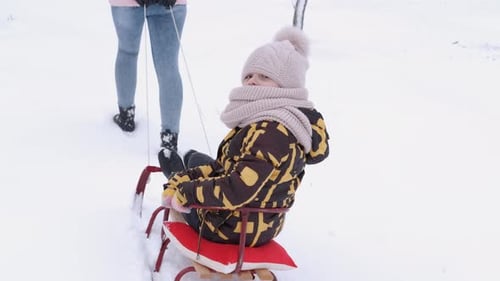 Child Rides on Sled Pulled Through Snowy Park