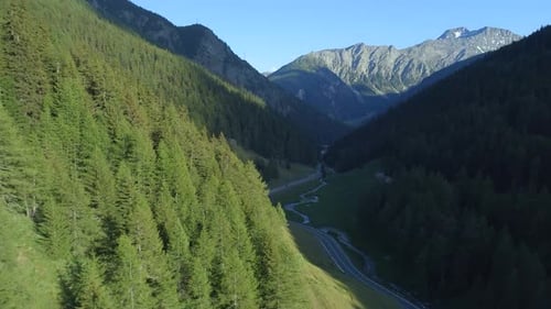 Im Sommer mit Pinien bedeckter Gebirgspass