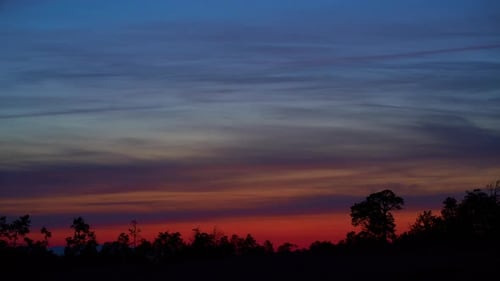 celestial horizon timelapse of the morning sky against a background of coniferous forest