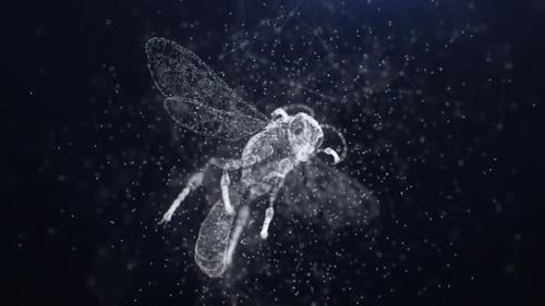 Futuristic Digital Bee with Plexus Network Loop Animation