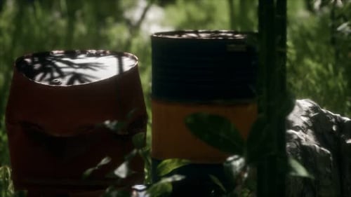 Rusty Barrels in Green Forest