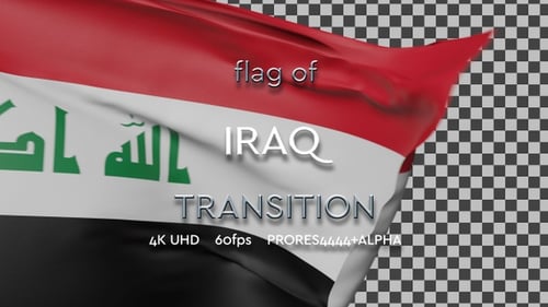 Realistic 3D Waving National Flag Animation Element