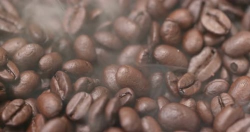 Roasted coffee bean
