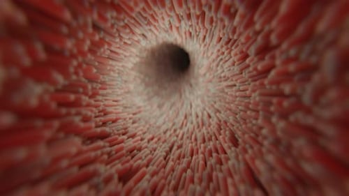 Organic tunnel cyclic background | UHD | 60fps