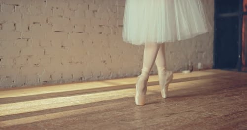 Ballet Exercises in Pointe