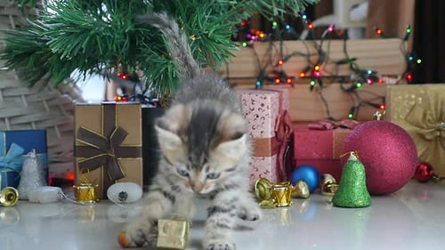 Playful Kitten with Christmas Presents and Decorations