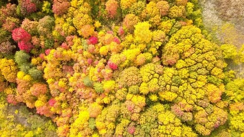 Otoño