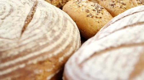 Assorted Freshly Baked Bread and Rolls Close Up