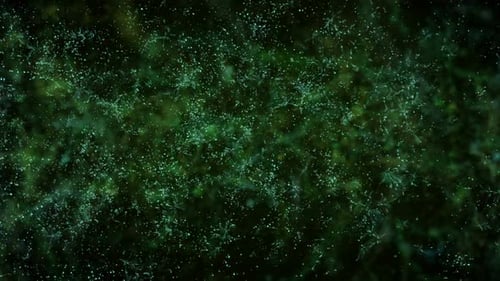 Smaragd-Spritzer